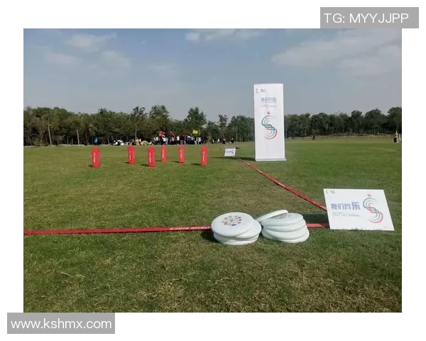 武汉飞盘队的激情与梦想聚焦飞盘运动的成长与发展之路